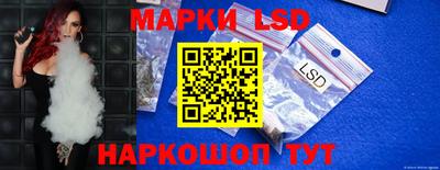 стаф Будённовск