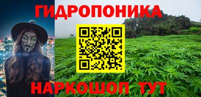 стаф Будённовск