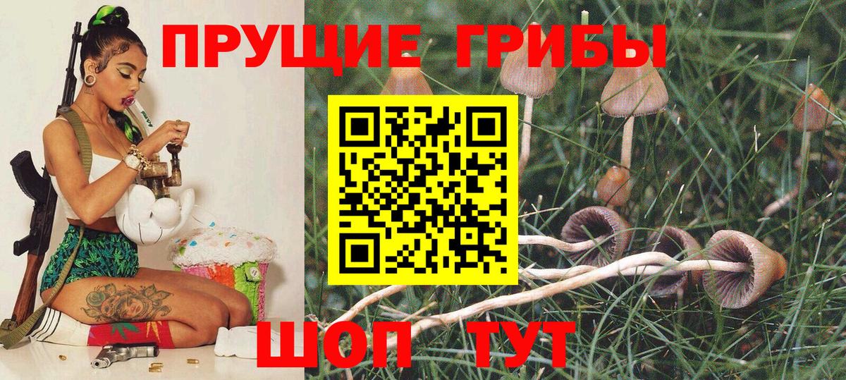 Псилоцибиновые грибы мухоморы  Вход с VPN  сколько стоит  Усолье-Сибирское 